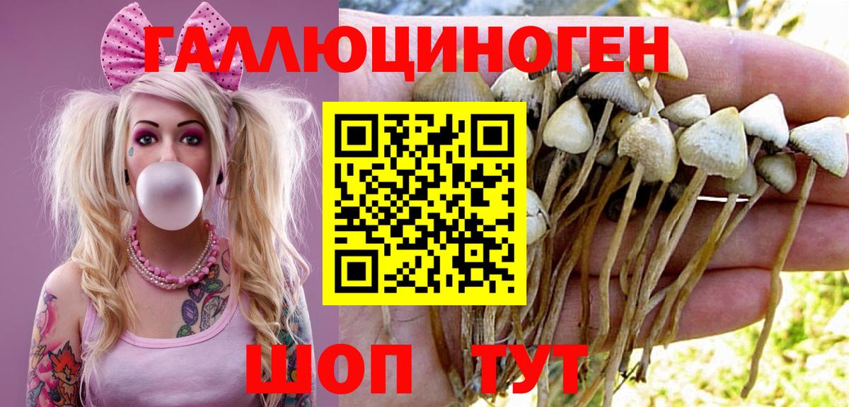 Галлюциногенные грибы мухоморы Чебоксары