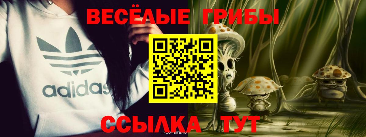 Псилоцибиновые грибы мицелий  как найти   Чебоксары  Псилоцибиновые грибы GOLDEN TEACHER  Вход с VPN 